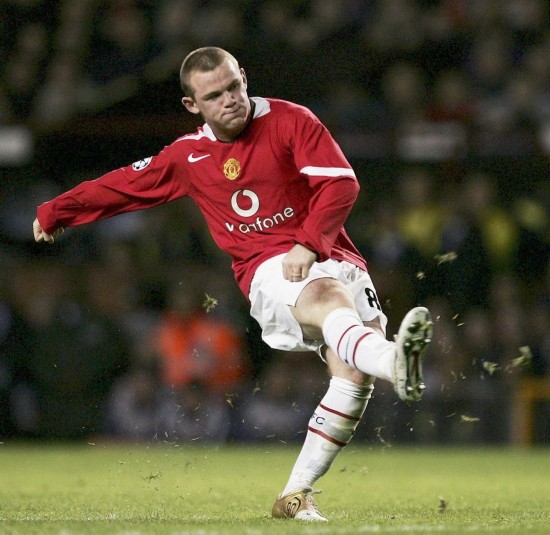 后期阶段 后期阶段